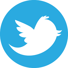 Twitter GPN COIN